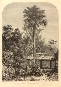 Nouvelle géographie universelle